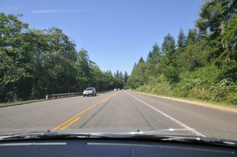 I’m guessing lots of Oregon looks like this. Big trees on either side of the highway. Definitely different than the prairies I’m used to!
